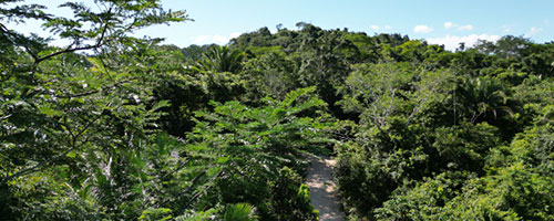 Belize Karst Habitat Conservation