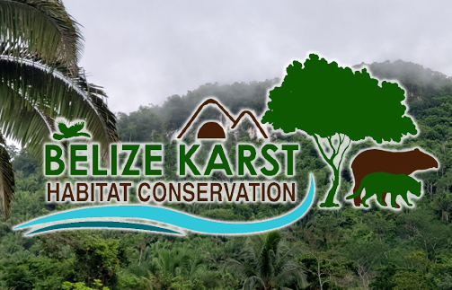 Belize Karst Habitat Conservation history