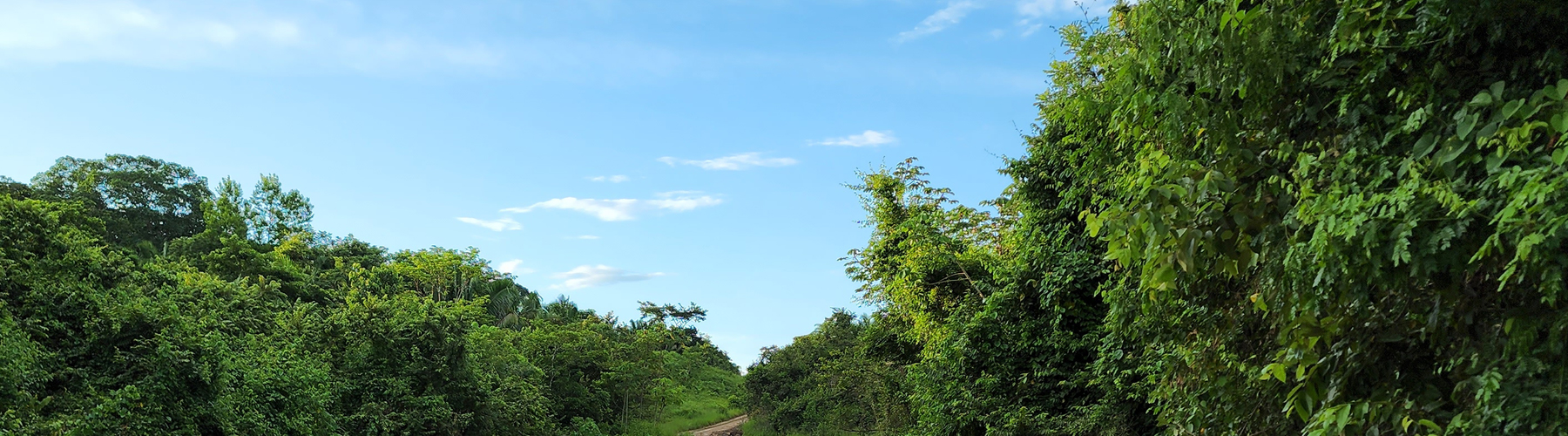 Belize Karst Habitat Conservation forest