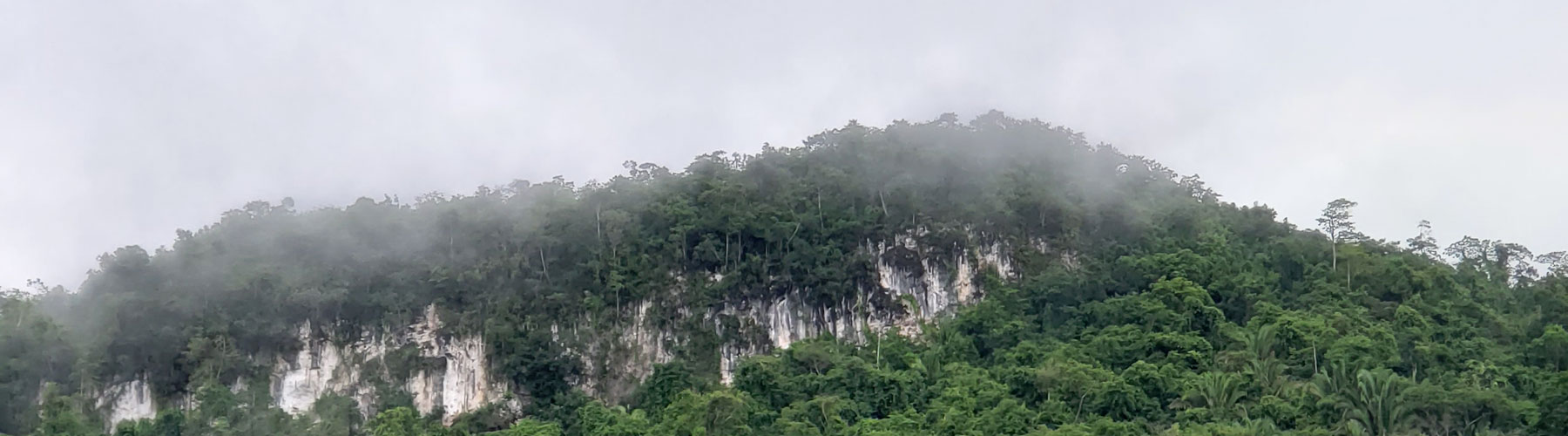 Belize Karst Habitat Conservation Tapir Mountain