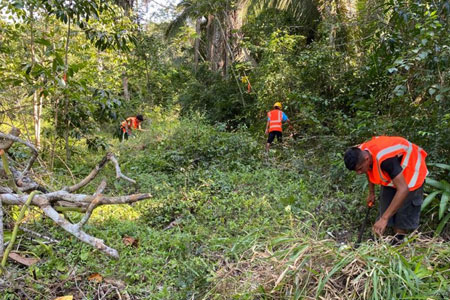 Belize Karst Habitat Conservation Protection