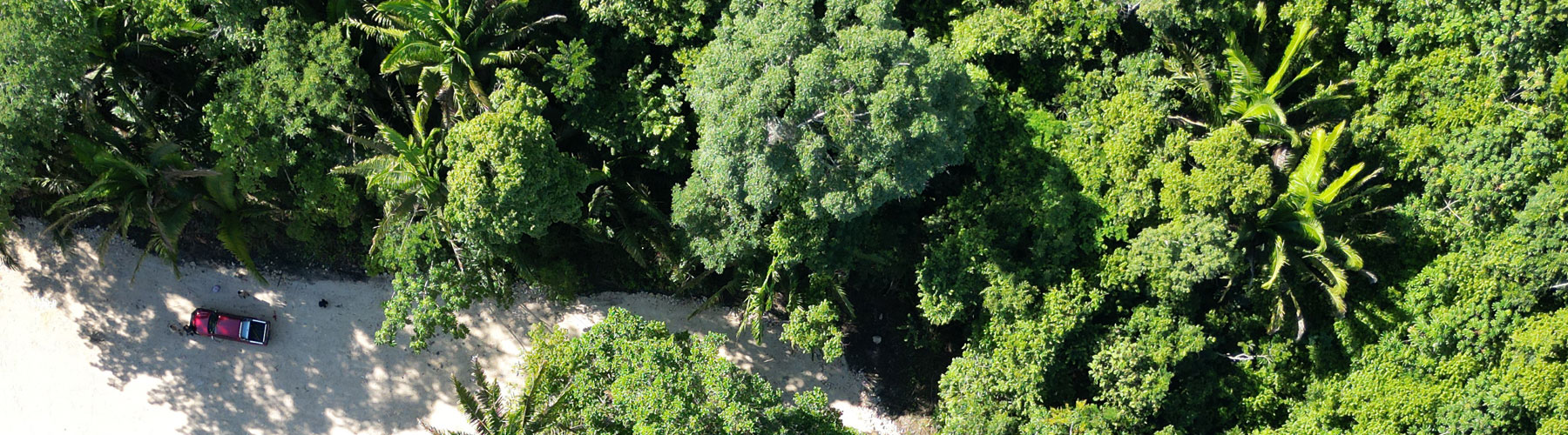 Belize Karst Habitat Conservation