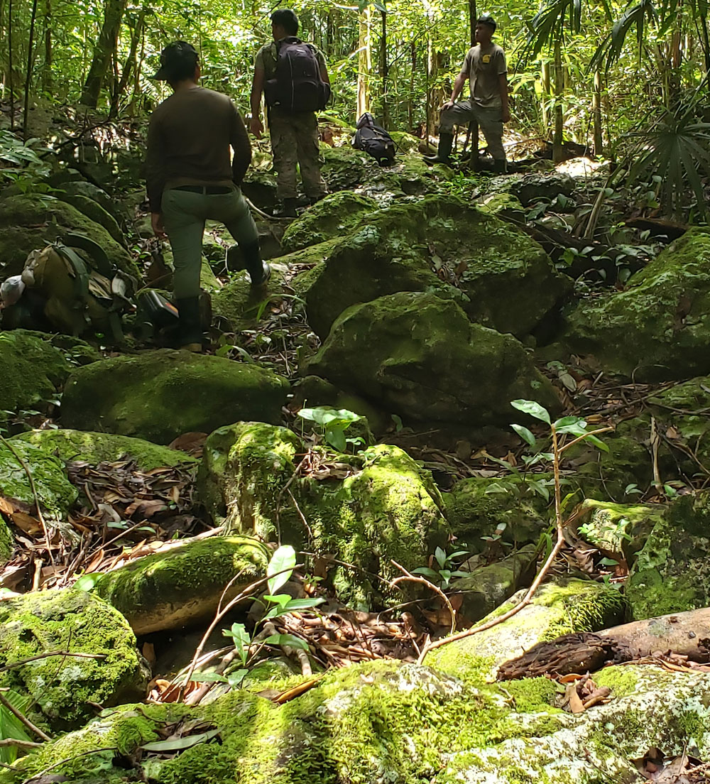 Belize Karst Habitat Conservation Tapir Mountain
